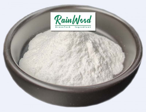 Daidzein Powder