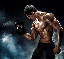 muscle building and bodybuilding